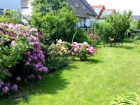 Garten & Pflastern Arbeiten Hessen - Bad Nauheim Vorschau