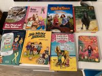 Verschiedene Kinderbücher - zusammen oder einzeln zu verkaufen Schleswig-Holstein - Ostenfeld (Husum) Vorschau