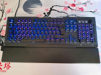 Roccat Vulcan 121 AIMO Gaming Niedersachsen - Stadthagen Vorschau