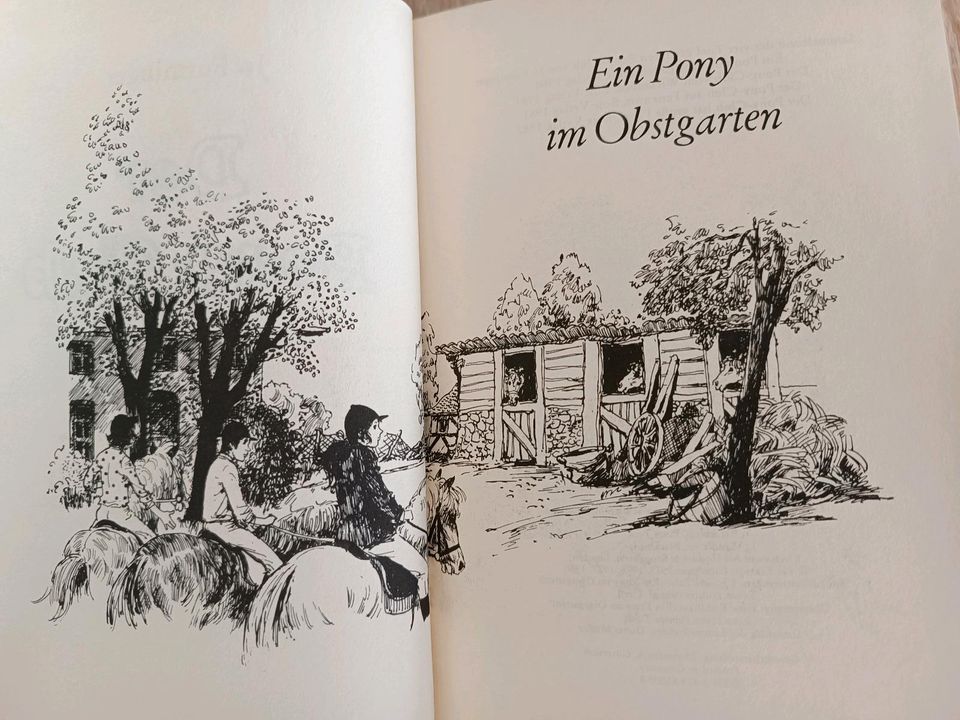 Der Pony Club - Jugendbuch in Dessau-Roßlau