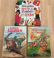 Bücher Kinder Zauberbuch Saurier Meister Dachs je 1€ Baden-Württemberg - Bad Boll Vorschau