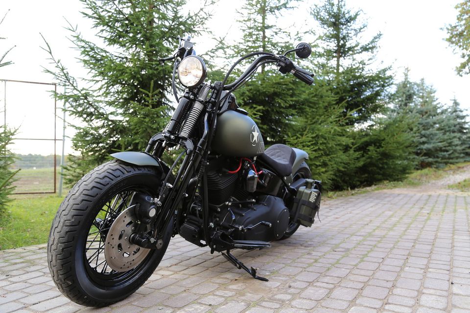 ⚡HARLEY DAVIDSON 2008 FLSTSB CROSS BONES Twin Cam 96⚡ in Königstein im Taunus