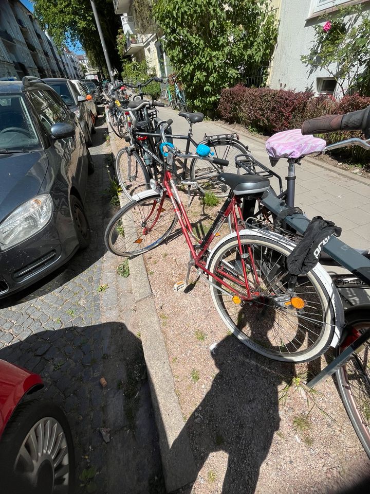 Cycle for ladies in Hamburg