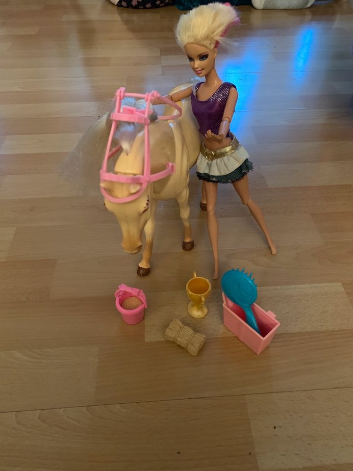 Barbie Pferd mit Zubehör in Winsen (Luhe)