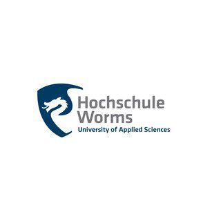 W2-Professur (m/w/d) für das Lehrgebiet Digitalisierung in Touri in Worms