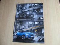 Autokatalog vom Opel Grandland X Modelljahr 2019 Hessen - Immenhausen Vorschau