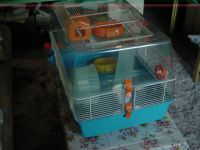 **GROßER**HAMSTER**MÄUSE**KÄFIG** Häfen - Bremerhaven Vorschau