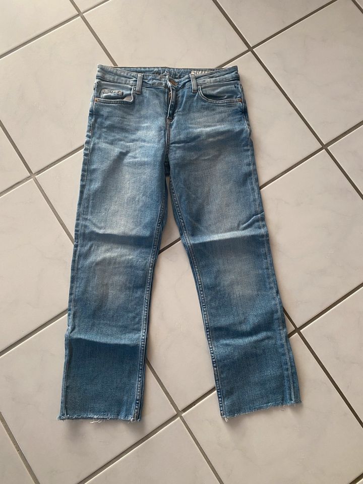 Jeanshose, ZARA Hose, blaue Jeans, Damenjeans, Hose Größe 36 in Gaimersheim