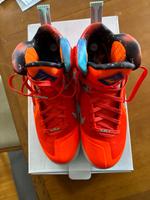 Nike Lebron Bayern - Dingolshausen Vorschau