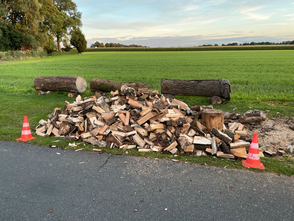 Feuerholz, Brennholz, kaminholz in Hollenstedt