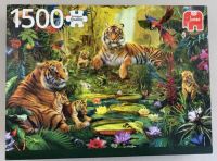 Tigerfamilie im Dschungel Puzzle 1500 Teile Vollständig Jumbo Nordrhein-Westfalen - Gangelt Vorschau