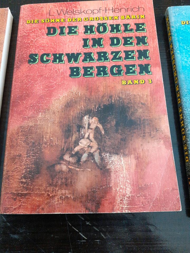 Kinderbücher: Die Söhne der großen Bärin in Saale-Holzland-Kreis