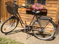 Damen Fahrrad 28 zoll Niedersachsen - Uelzen Vorschau