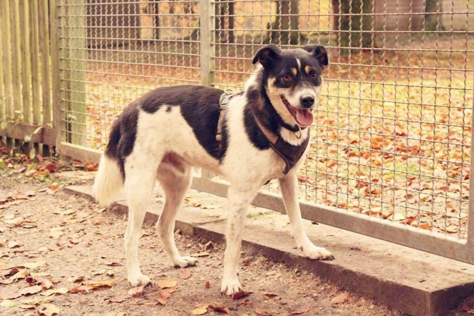 Mio sucht seine Familie in Rennertshofen