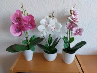 Künstliche Orchideen Nordrhein-Westfalen - Oberhausen Vorschau