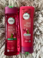 Herbal Essences Shampoo Spülung Hessen - Linsengericht Vorschau