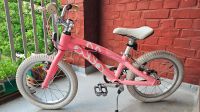 Ollo Bike 16"  Rosa/Pink Hamburg-Nord - Hamburg Barmbek Vorschau