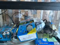 Aquarium 60 L Nordrhein-Westfalen - Menden Vorschau