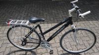 Damenfahrrad Gudereit C30 Nordrhein-Westfalen - Morsbach Vorschau