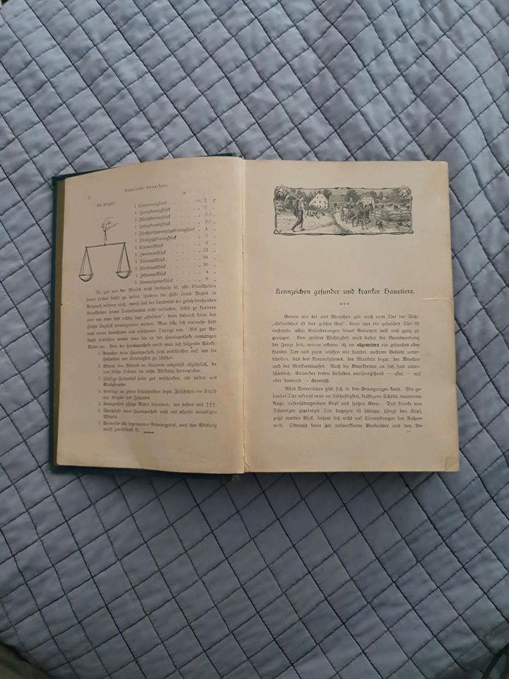 Handbuch der Tierheilkunde,  1899 - 1909?) in Landsberg (Lech)