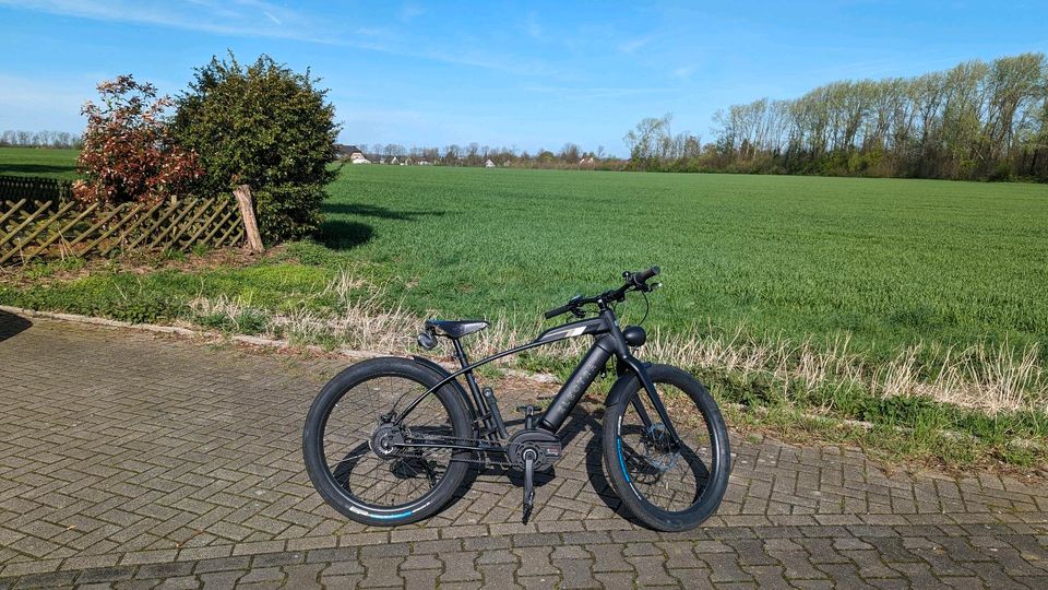 E-Bike Electra Café Moto Go Cruiser in Medebach