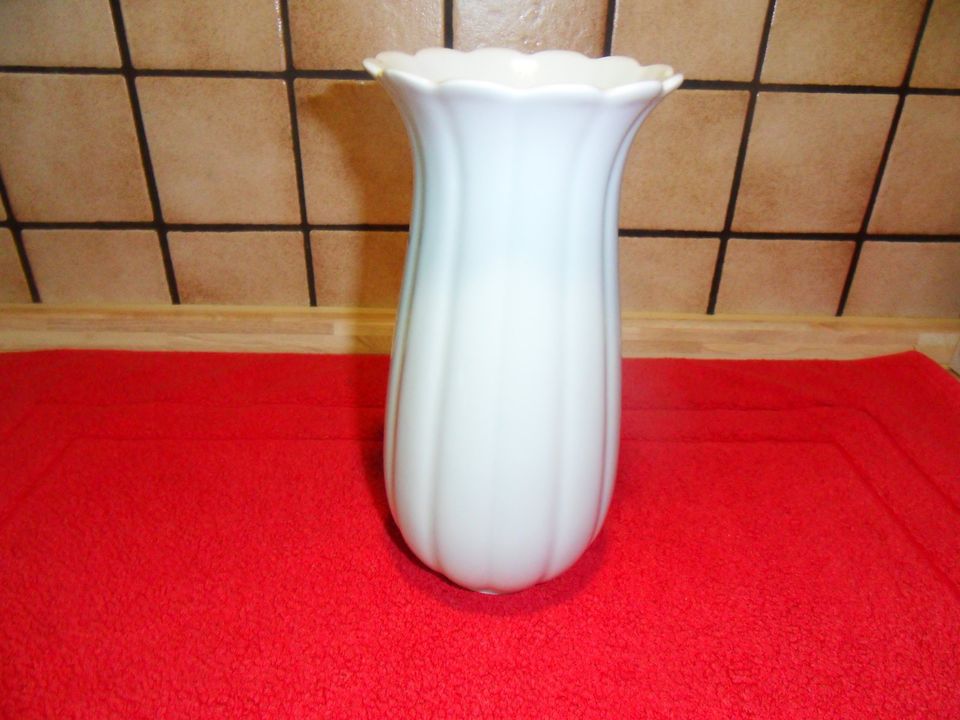 Schöne Blumenvase Bareuter Porzelan Höhe 23cm in Freiburg im Breisgau