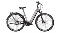 VICTORIA eManufaktur 11.9 Elektrofahrrad Neu 625Wh Akku Niedersachsen - Clenze Vorschau