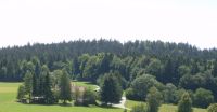 Ferienhaus in Spiegelau am Nationalpark Bayerischer Wald Bayern - Spiegelau Vorschau