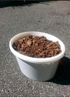 Bienenprodukt 7 KG Bayern - Kolbermoor Vorschau