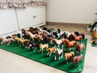 Schleich Pferde, Bibi und Tina und andere Pferde Nordrhein-Westfalen - Solingen Vorschau