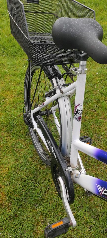 26 Zoll Pegasus Mädchenrad Damenrad Fahrrad Rad in Malente