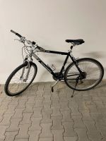 WINORA Fahrrad Baden-Württemberg - Ehingen (Donau) Vorschau