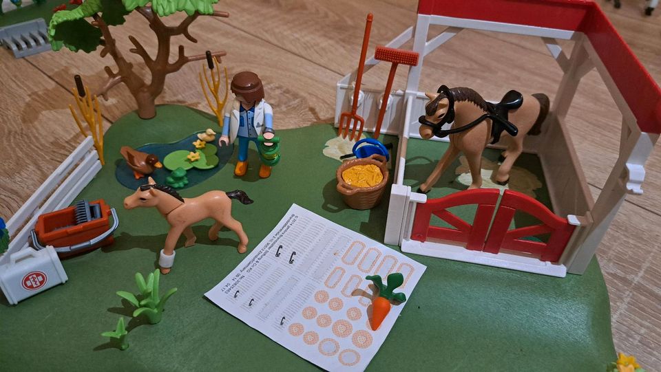 Playmobil Country Pferdebox in Lübbecke 