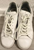 Polo Sneaker Hamburg-Nord - Hamburg Alsterdorf  Vorschau
