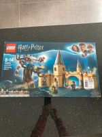 Lego 75953 Harry Potter und die Peitschende Weide Nürnberg (Mittelfr) - Aussenstadt-Sued Vorschau