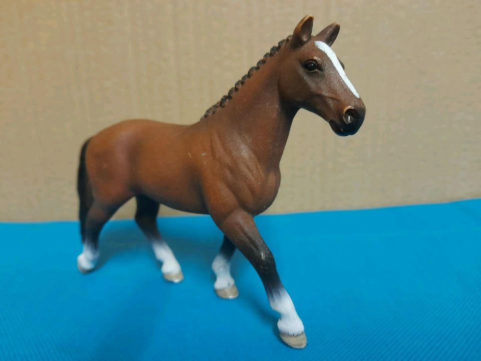 Schleich-Pferde Hannoveraner Sammlung 72096 72088 72135 exclusive in Drensteinfurt