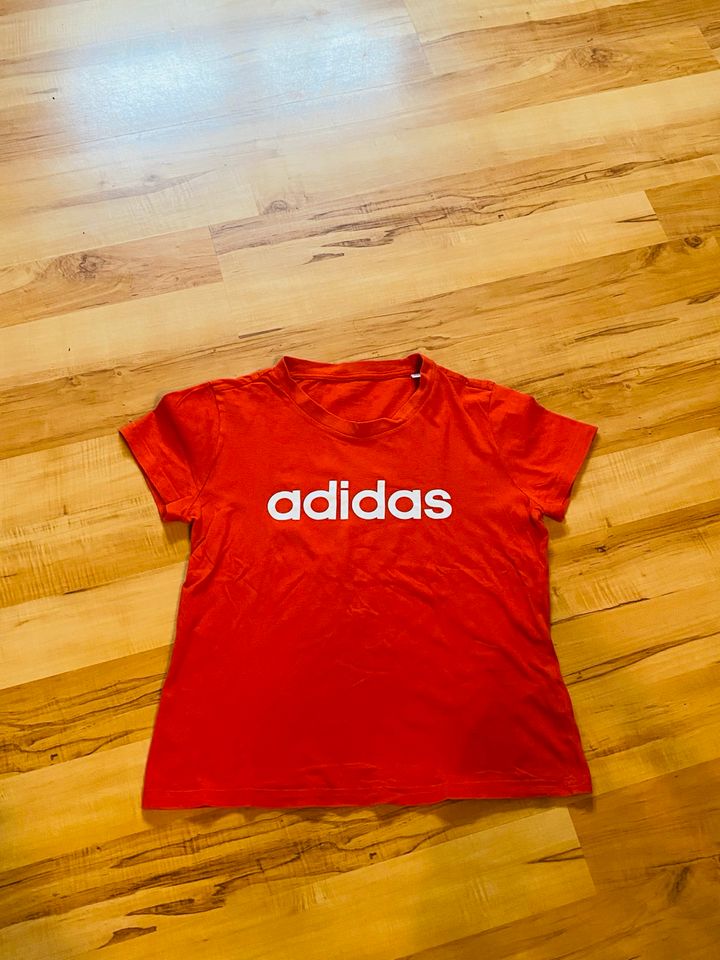 Adidas Tshirt M Damen rot in Tüttendorf