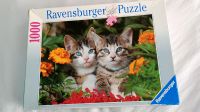 Ravensburger Puzzle 1000 Teile Sachsen-Anhalt - Großkorbetha Vorschau