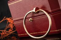 Cartier Armband Armreif Juste un Clou Roségold Rotgold 750 Gr. 15 Nordrhein-Westfalen - Wegberg Vorschau