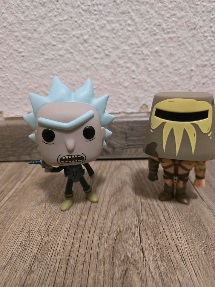 Funko pop Rick and Morty in Rodewald