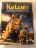Buch für Katzenliebhaber Brandenburg - Bad Belzig Vorschau