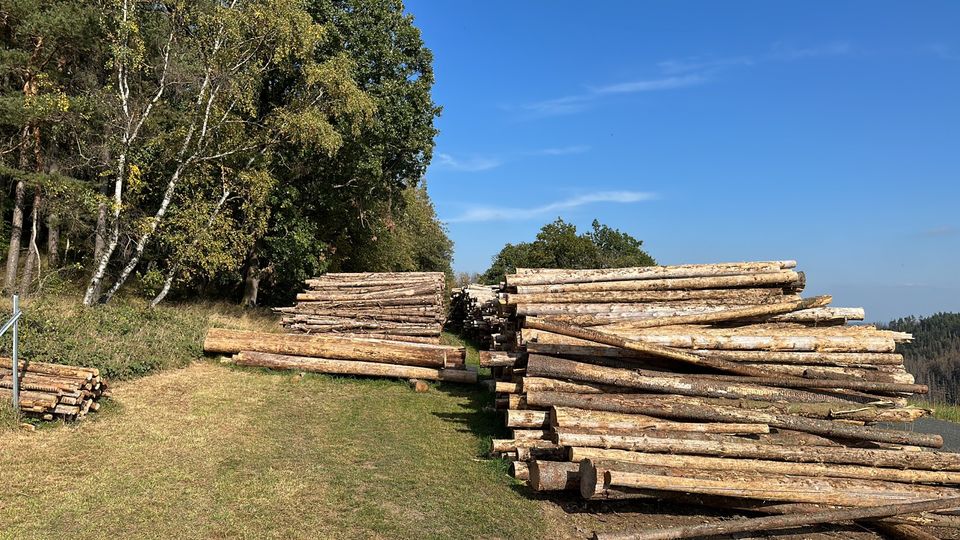 Holz / Brennholz / Kaminholz in Saalfeld (Saale)