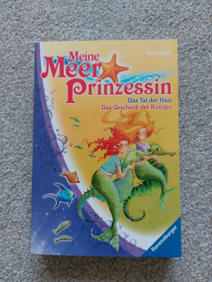 Meine Meerprinzessin von Usch Luhn - Kinderbuch in Neuhaus