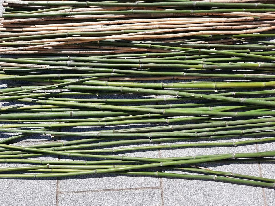 Bambus Bambusstangen Stäbe Pflanzstäbe Rankhilfen Insektenhotel in Würselen