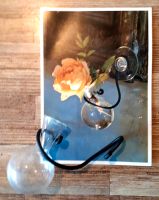 Wandvase  Glas klein für 1 Blüte Bayern - Bobingen Vorschau