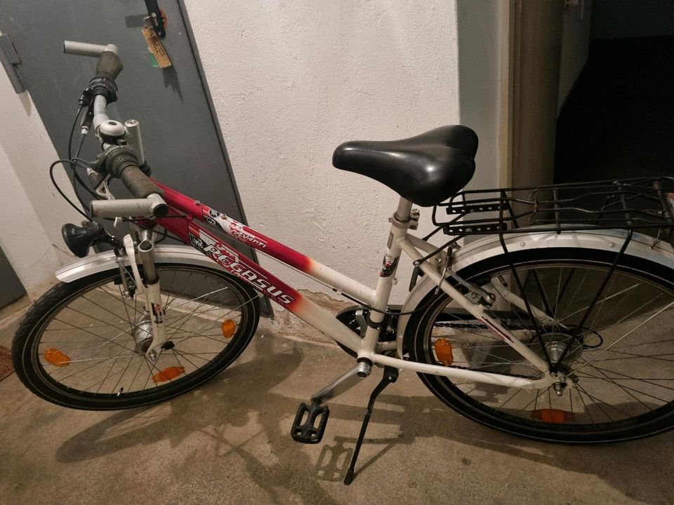 Pegasus Avanti Kinder Fahrrad 26 Zoll in Straubing