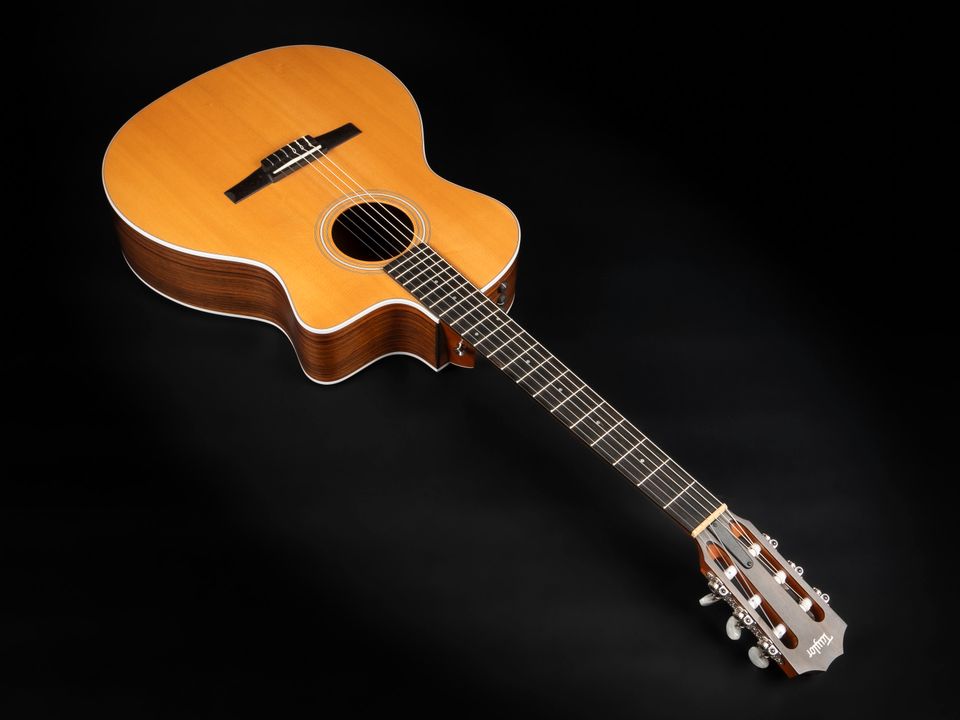 2021 Taylor 214ce-N | Crossover Konzertgitarre Nylon Pickup Cut in Niebüll