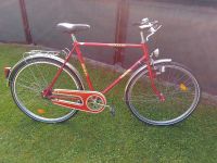 Hercules Teneriffa retro 80er Fahrrad top original Zustand 1.Ha Nordrhein-Westfalen - Arnsberg Vorschau