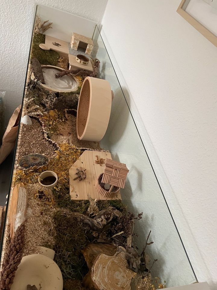 Hamstergehege | Ikea Detolf Vitrine, Nagarium, Mäusegehege in Elmshorn