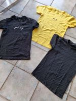 3 Shirts kurzer Arm Gr.XS -teilweise neu bzw. neuwertig + 1 Shirt Sachsen - Riesa Vorschau